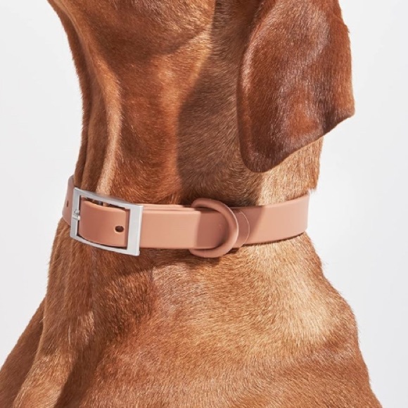 Wild One Collar in Cocoa, Size Small New w/Tag - Picture 2 of 7